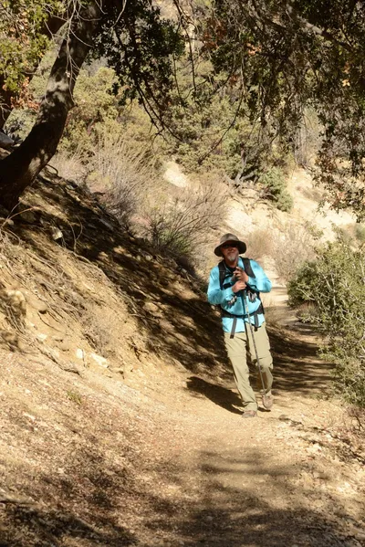 DSC_6246 (Large).JPG